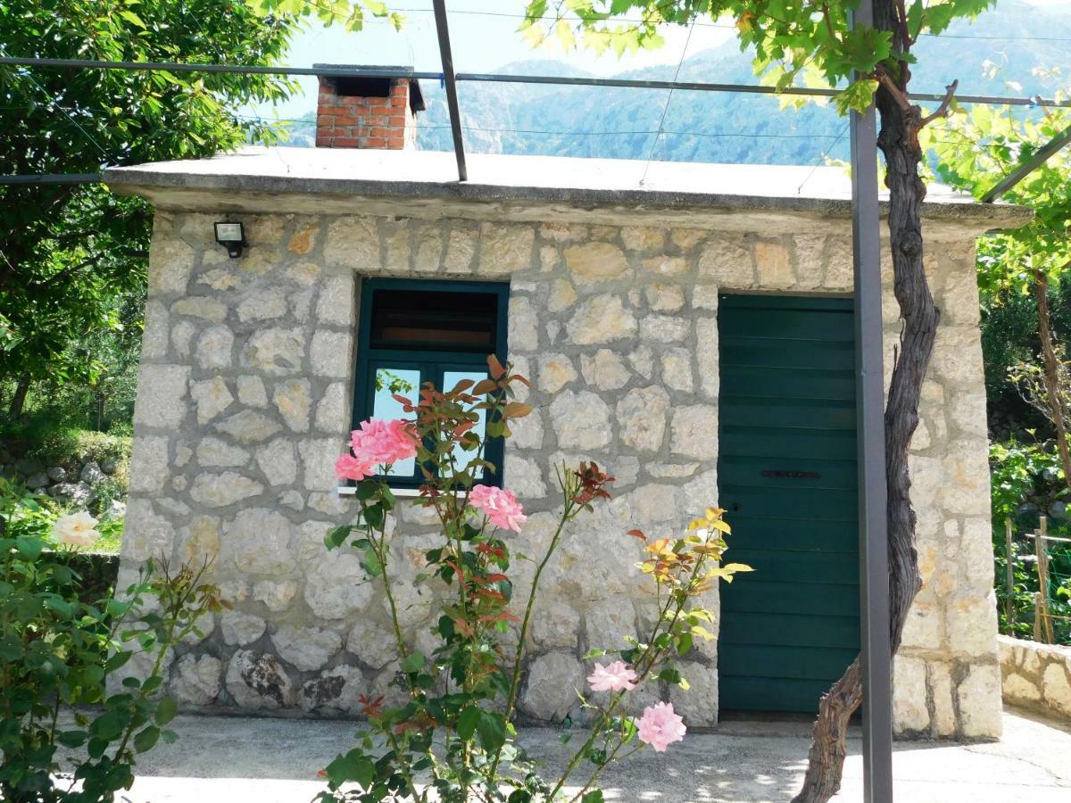 Apartman Niki Makarska Zewnętrze zdjęcie